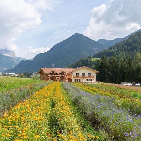 Eco-Green Fiores Agriturismo Vigo di Fassa Exteriér fotografie