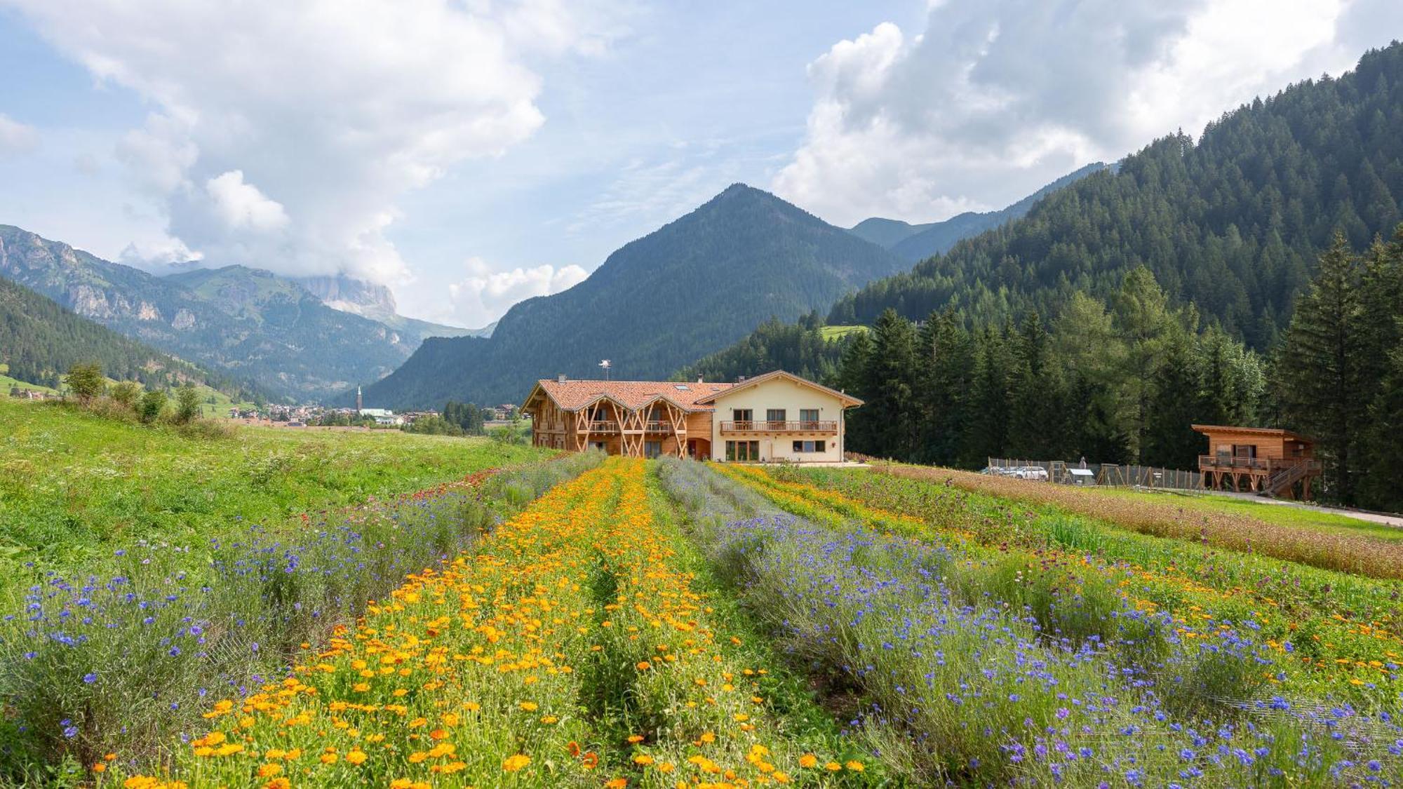 Eco-Green Fiores Agriturismo Vigo di Fassa Exteriér fotografie